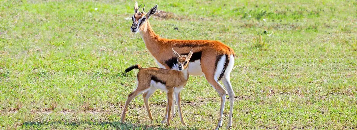 Sibiloi National Park